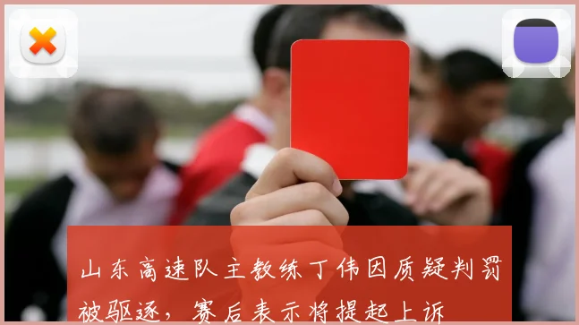 山东高速队主教练丁伟因质疑判罚被驱逐，赛后表示将提起上诉